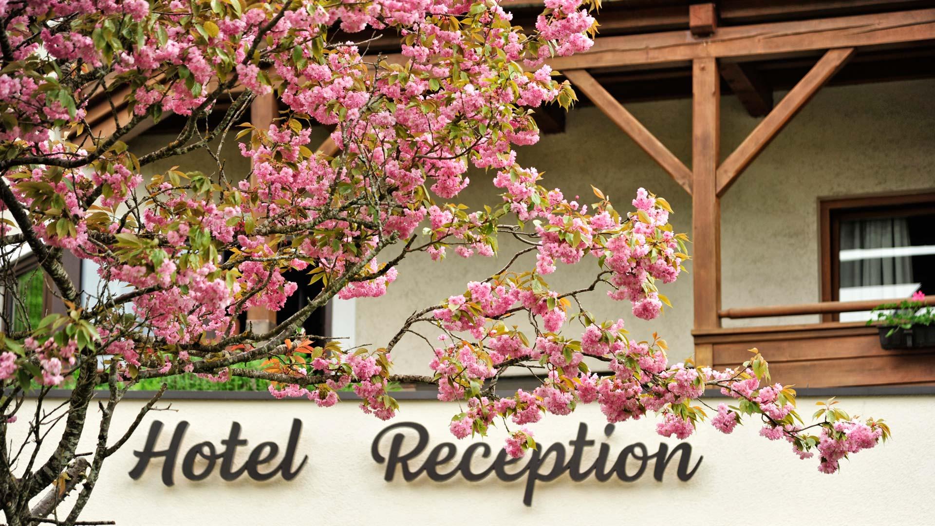 Hôtel Fischerwirt Am Achensee à Achenkirch Extérieur photo
